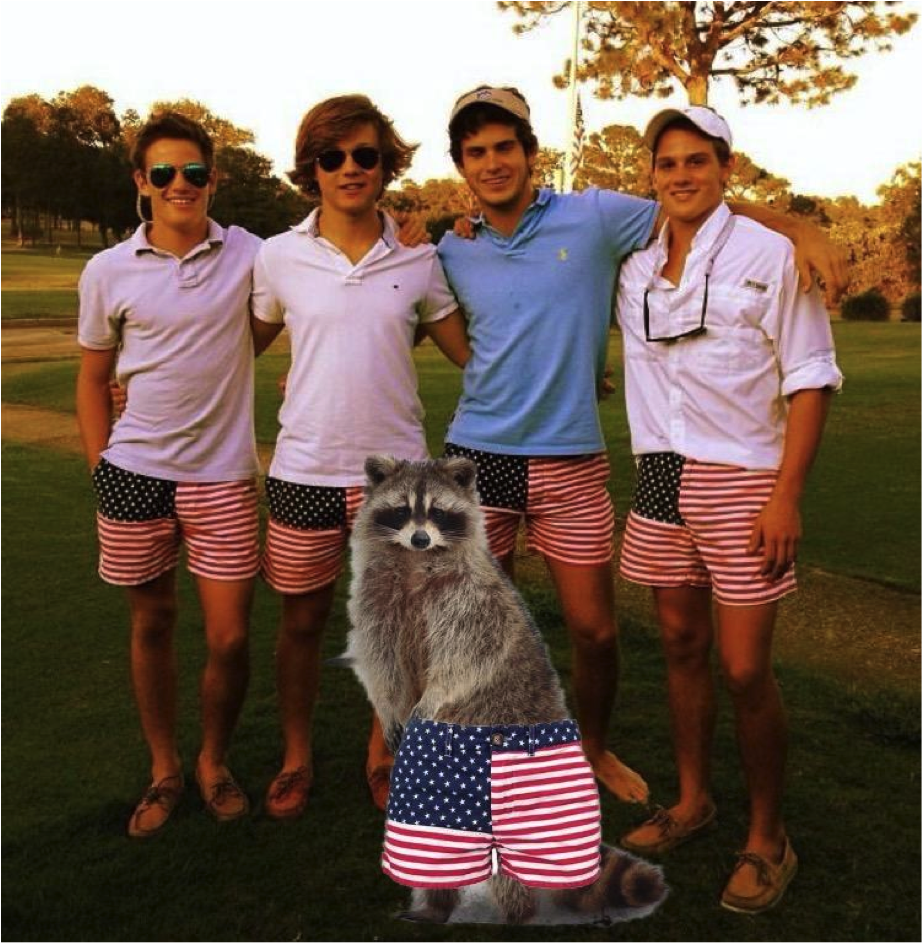 Ucsb Racoon Icon UCSB Greek Life Announces Decision to Initiate Raccoons – Gaucho Marks