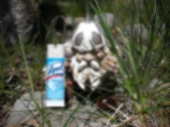 28ca4d4f5cfff096a0bc423d043e3a61 (1)